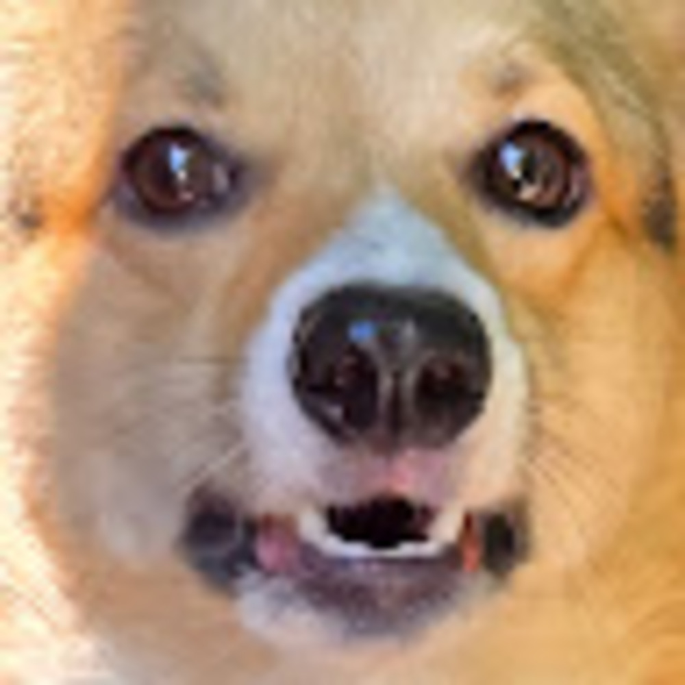 Meet your Posher, Javier